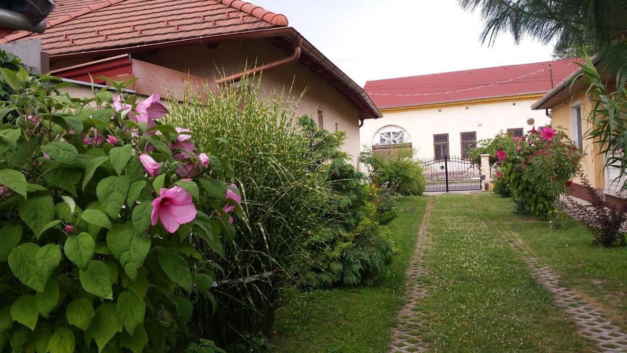 Ferienwohnung Eliza Vendeghaz Hajdúszoboszló Exterior foto